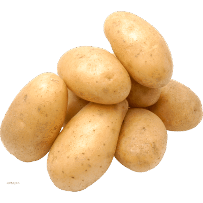 Potato