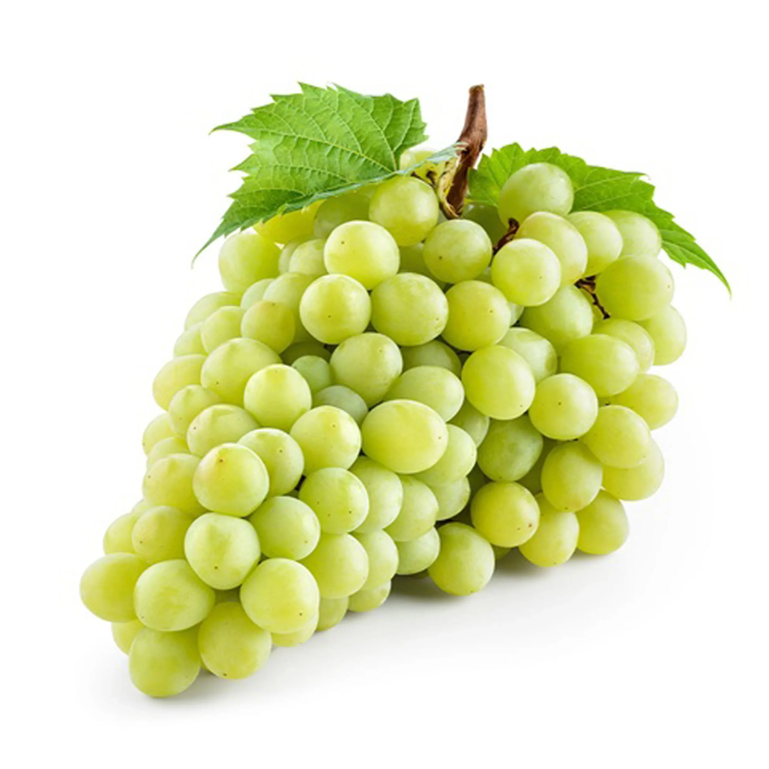 Grape